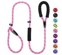 PLUTUS PET Dog Slip Lead, Anti-Choking with Traffic Padded 2 Handles, Reflective Strong Sturdy Heavy Duty Rope, 6FT/182cm for Training Medium Large Dogs (6' Pink)