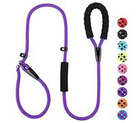PLUTUS PET Dog Slip Lead, Anti-Choking with Traffic Padded 2 Handles, Reflective Strong Sturdy Heavy Duty Rope, 6FT/182cm for Training Medium Large Dogs (6' Violet)