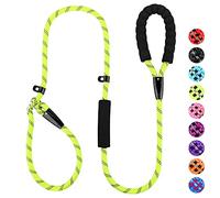 PLUTUS PET Dog Slip Lead, Anti-Choking with Traffic Padded 2 Handles, Reflective Strong Sturdy Heavy Duty Rope, 6FT/182cm for Training Medium Large Dogs (6' Green)