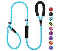 PLUTUS PET Dog Slip Lead, Anti-Choking with Traffic Padded 2 Handles, Reflective Strong Sturdy Heavy Duty Rope, 6FT/182cm for Training Medium Large Dogs (6' Blue)