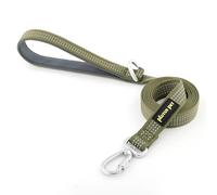 Plutus Pet Heavy Duty Dog Lead with Lockable Aluminum Carabiner, 4/6 Feet Long, Double-Sided Reflective Nylon, Padded Handle, for Puppy, Small, Medium and Large Dogs (Ranger Green, 2.0 x 120cm)