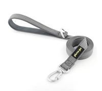 Plutus Pet Heavy Duty Dog Lead with Lockable Aluminum Carabiner, 4/6 Feet Long, Double-Sided Reflective Nylon, Padded Handle, for Puppy, Small, Medium and Large Dogs (Grey, 2.5 x 120cm)