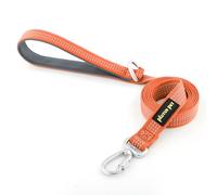 Plutus Pet Heavy Duty Dog Lead with Lockable Aluminum Carabiner, 4/6 Feet Long, Double-Sided Reflective Nylon, Padded Handle, for Puppy, Small, Medium and Large Dogs (Orange, 2.0 x 120cm)