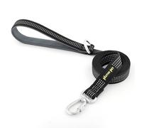 Plutus Pet Heavy Duty Dog Lead with Lockable Aluminum Carabiner, 4/6 Feet Long, Double-Sided Reflective Nylon, Padded Handle, for Puppy, Small, Medium and Large Dogs (Black, 2.5 x 120cm)