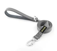 Plutus Pet Heavy Duty Dog Lead with Lockable Aluminum Carabiner, 4/6 Feet Long, Double-Sided Reflective Nylon, Padded Handle, for Puppy, Sma