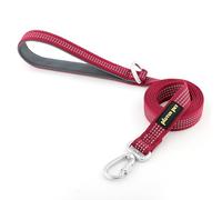 Plutus Pet Heavy Duty Dog Lead with Lockable Aluminum Carabiner, 4/6 Feet Long, Double-Sided Reflective Nylon, Padded Handle, for Puppy, Small, Medium and Large Dogs (Burgundy Red, 2.5 x 180cm)