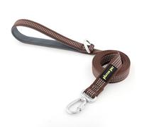 Plutus Pet Heavy Duty Dog Lead with Lockable Aluminum Carabiner, 4/6 Feet Long, Double-Sided Reflective Nylon, Padded Handle, for Puppy, Small, Medium and Large Dogs (Chocolate, 2.5 x 180cm)