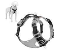 Plutus Pet No Pull Dog Harness, Release At Neck, Reflective Adjustable Dog Vest Harness, Easy Control Handle for Walking, for Small Medium Large Dogs, Black, L