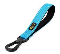 PLUTUS PET Strong Training Dog Lead with Rock Climing Carabiner Clip, Relective Nylon Dog leash Padded Handle, Training Lead for Large and Medium Dogs(25cm,Blue)