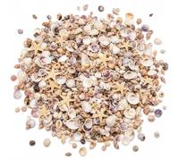 Pluvikon 1000pcs Mini Shells and Starfish Mixed Set, Natural Seashells for Crafts 0.2-1.5cm, Mini Starfish Shell Decorations for Resin Art Candle Making Vase Fillers Beach Wedding Party Decor