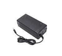 Plyisty 54.6V 2A Electric Scooter for 48V Ebike Battery (UK Plug)