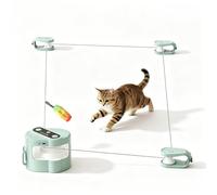 Plyisty Interactive Cat Chasing Toy, with Bird Chirping Remote Control Moving String Electronic Smart Cat Toy for Indoor Cats Play (Green)