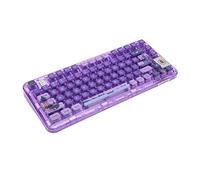 Plyisty RGB Backlit Hot Swappable Purple Mechanical Gaming Keyboard, Triple Mode 2.4G Wireless, Type C Wired, with 3750mAh Lithium Ion Battery
