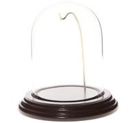 Plymor 3" x 4" Watch Glass Display Dome Cloche (Dark Mahogany Veneer Base & Gold Wire)