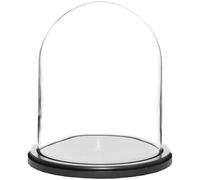 Plymor 8" x 10.25" Glass Display Dome Cloche (Black Wood Base)