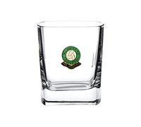 Plymouth Argyle Football Club Mixer Glass