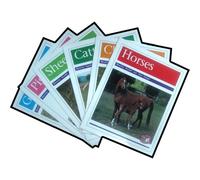 PM Non Fiction Animal Facts Level 22 Nocturnal Animals Mixed Pack X6 Gold