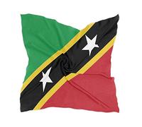 PMAIHNAS Women's Fashion Silk Scarf Square Satin Headscarf Neck Scarf Head Hair Wraps, Saint Kitts and Nevis Flag, One Size