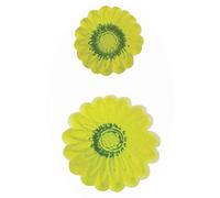 PME 103FF016 JEM Embossed Daisy Cutters, Set of 2, White, 7 x 3 x 15 cm
