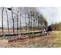 PMEFGJDPE Famous Art Picture Poster Picture a Grave with a Number of French Soldiers Killed in Soisy-bouy by Jules Gervais Courtellemont Colorful Art Print for Home Decor 60x90cm