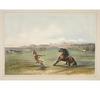 PMEFGJDPE Famous HD Canvas Art Canvas Wall Artwork Catching the Wild Horse by George Catlin Classic Wall Decor for Home Decor 60x90cm