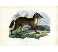 PMEFGJDPE Famous HD Canvas Art Canvas Wall Artwork Stickleback by Raimundo Petraroja Classic Wall Decor for Home Decor 60x90cm