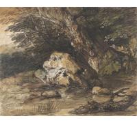 PMEFGJDPE Famous Painting Art Picture Poster Picture a Woodland Pool with Rocks and Plants by Gainsborough Colorful Art Print for Home Decor 60x90cm