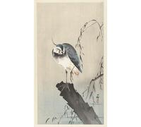 PMEFGJDPE Famous Painting Art Picture Poster Picture Five Small Birds on a Twig Japanese by Ohara Koson Colorful Art Print for Home Decor 60x90cm