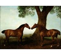 PMEFGJDPE Famous Painting Art Picture Poster Picture Two Bay Hunters by a Tree by George Stubbs Colorful Art Print for Home Decor 60x90cm