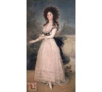 PMEFGJDPE Famous Painting Pictures Paintings Canvas Prints Dona Tadea Arias De Enriquez by Francisco De Goya Wall Art Graffiti for Home Decor 60x90cm