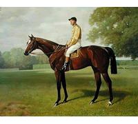 PMEFGJDPE Famous Painting Pictures Paintings Canvas Prints Flying Animal Winner of the by Emil Adam Wall Art Graffiti for Home Decor 60x90cm