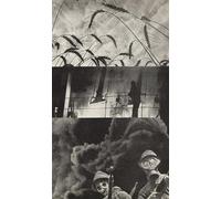PMEFGJDPE Famous Painting Poster Wall Decor Art Print Images Chemistry in the Hands of the Proletariat and the Peasantry by Eliezer Markowich Lissitzky Animal Posters for Home Decor 60x90cm
