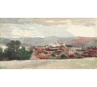 PMEFGJDPE Famous Painting Poster Wall Decor Art Print Images Santiago De Cuba by Winslow Homer Animal Posters for Home Decor 60x90cm