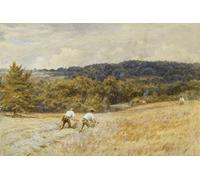 PMEFGJDPE Famous Painting Poster Wall Decor Art Print Images the Reapers by Helen Allingham Animal Posters for Home Decor 60x90cm