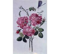 PMEFGJDPE Famous Painting Print Artwork Premium Artwork Bouquet of Peonies Lithography by Pierre Buchoz Modern Canvas for Home Decor 60x90cm
