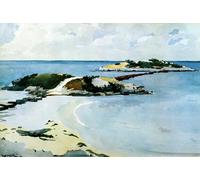 PMEFGJDPE Famous Painting Print Artwork Premium Artwork the Favorite by Winslow Homer Modern Canvas for Home Decor 60x90cm