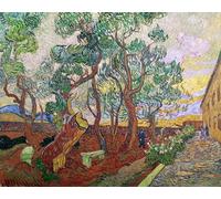 PMEFGJDPE Famous Painting Print Artwork Premium Artwork the Garden of St Paul's Hospital At St Remy by Vincent Van Gogh Modern Canvas for Home Decor 60x90cm