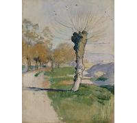 PMEFGJDPE Famous Painting Print Artwork Premium Artwork Willow Tree in Spring by Ferdinand Hodler Modern Canvas for Home Decor 60x90cm