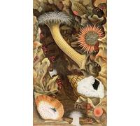 PMEFGJDPE Famous Pictures Paintings Canvas Prints Snake Locked Anemones Plate Iii From actinologia Britannica by Philip Henry Gosse Wall Art Graffiti for Home Decor 60x90cm
