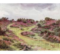 PMEFGJDPE Famous Pictures Paintings Canvas Prints the New Forest Bell Heather on Setley Plain by Walter Frederick Roofe Tyndale Wall Art Graffiti for Home Decor 60x90cm