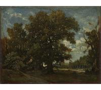 PMEFGJDPE Famous Pictures Paintings Canvas Prints the Oak Tree by Pierre Etienne Theodore Rousseau Wall Art Graffiti for Home Decor 60x90cm
