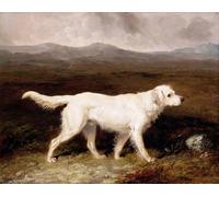 PMEFGJDPE Famous Poster Wall Decor Art Print Images Charles Brett's White English Setter sam in a Moorland Landscape by Abraham Animal Posters for Home Decor 60x90cm
