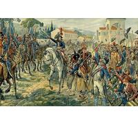 PMEFGJDPE Famous Poster Wall Decor Art Print Images First Italian Campaign Napoleon I Bonaparte Reviewed the of Italy in Nice on March Animal Posters for Home Decor 60x90cm