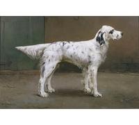 PMEFGJDPE Famous Poster Wall Decor Art Print Images Portrait of a Dog by Charles Van Den Eycken Animal Posters for Home Decor 60x90cm
