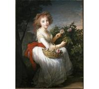 PMEFGJDPE Famous Poster Wall Decor Art Print Images Portrait of Maria Cristina of Naples and Sicily by Elisabeth Louise Vigee Lebrun Animal Posters for Home Decor 60x90cm