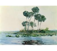 PMEFGJDPE Famous Poster Wall Decor Art Print Images St John's River Florida by Winslow Homer Animal Posters for Home Decor 60x90cm