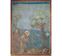 PMEFGJDPE Famous Poster Wall Decor Art Print Images St Preaching to the Birds by Giotto Di Bondone Animal Posters for Home Decor 60x90cm