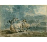 PMEFGJDPE Famous Print Artwork Premium Artwork Animals Fighting by Sawrey Gilpin Modern Canvas for Home Decor 60x90cm