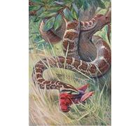 PMEFGJDPE Famous Print Artwork Premium Artwork Indian Python From Wildlife of the World by Wilhelm Kuhnert Modern Canvas for Home Decor 60x90cm