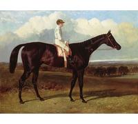 PMEFGJDPE Famous Print Artwork Premium Artwork Jonathan Wild a Dark Bay Race Horse by Frederick Herring Senior Modern Canvas for Home Decor 60x90cm